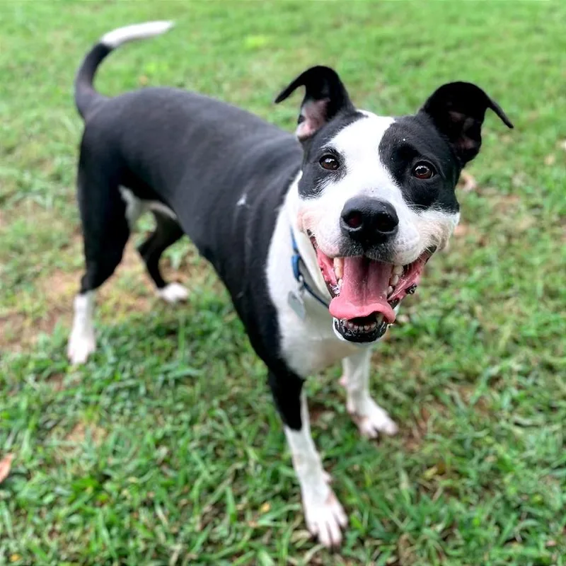 Stefanie thumbnail 4