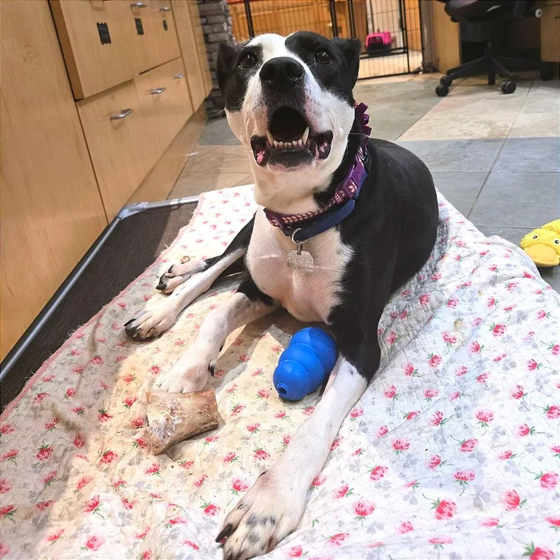 Stefanie thumbnail 5