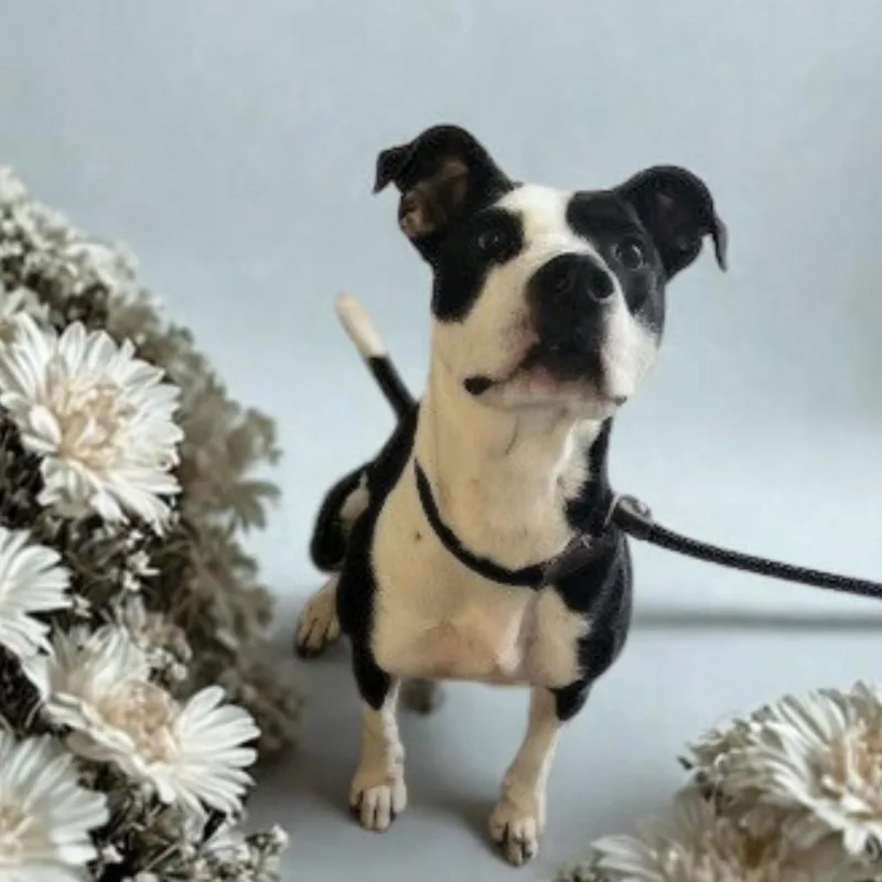 Stefanie thumbnail 6