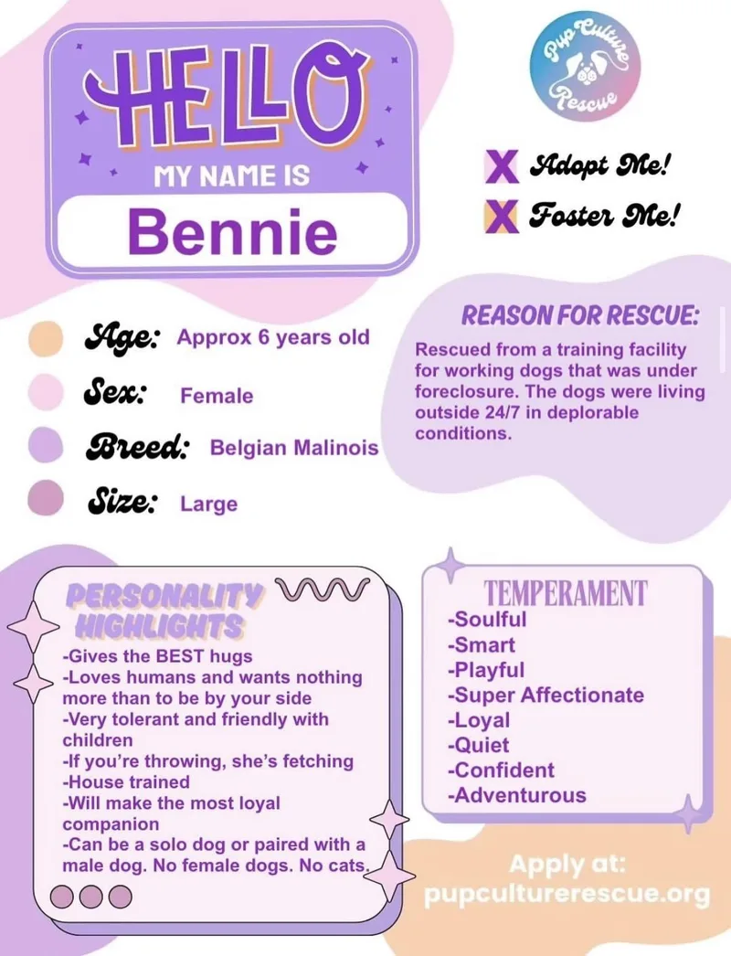Bennie thumbnail 4