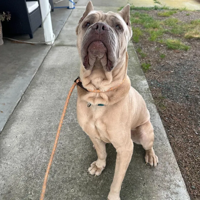 Hercules thumbnail 2