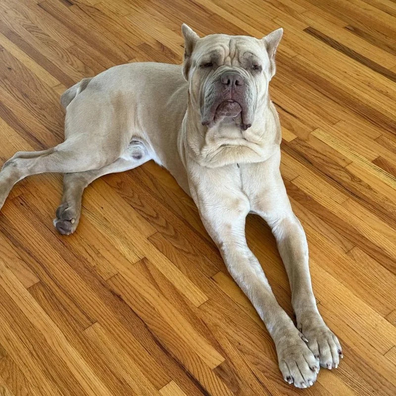 Hercules thumbnail 4