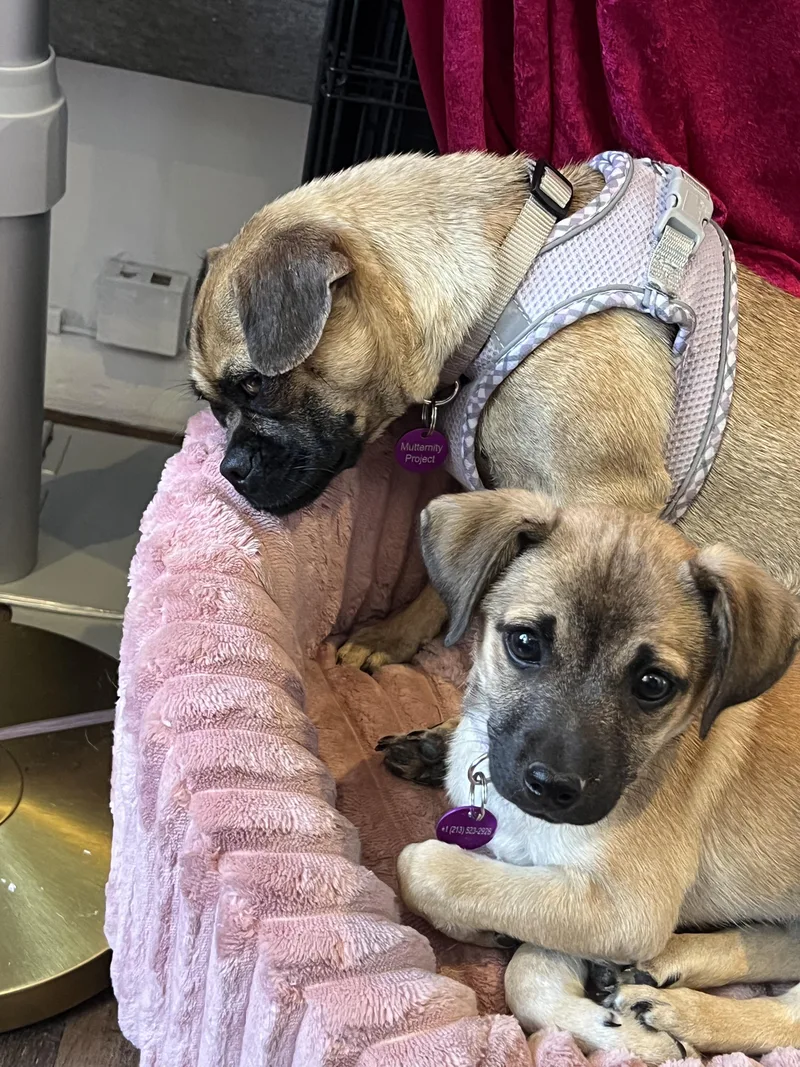 Genevieve thumbnail 4