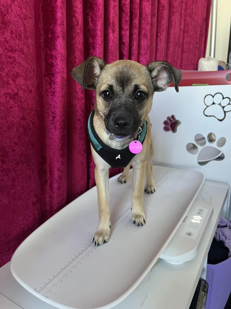 Genevieve thumbnail 5