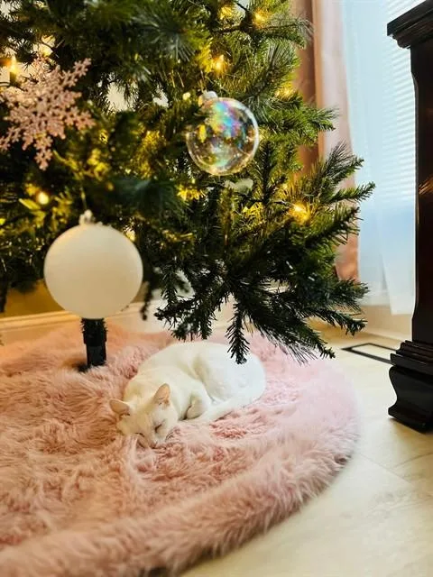 Elsa