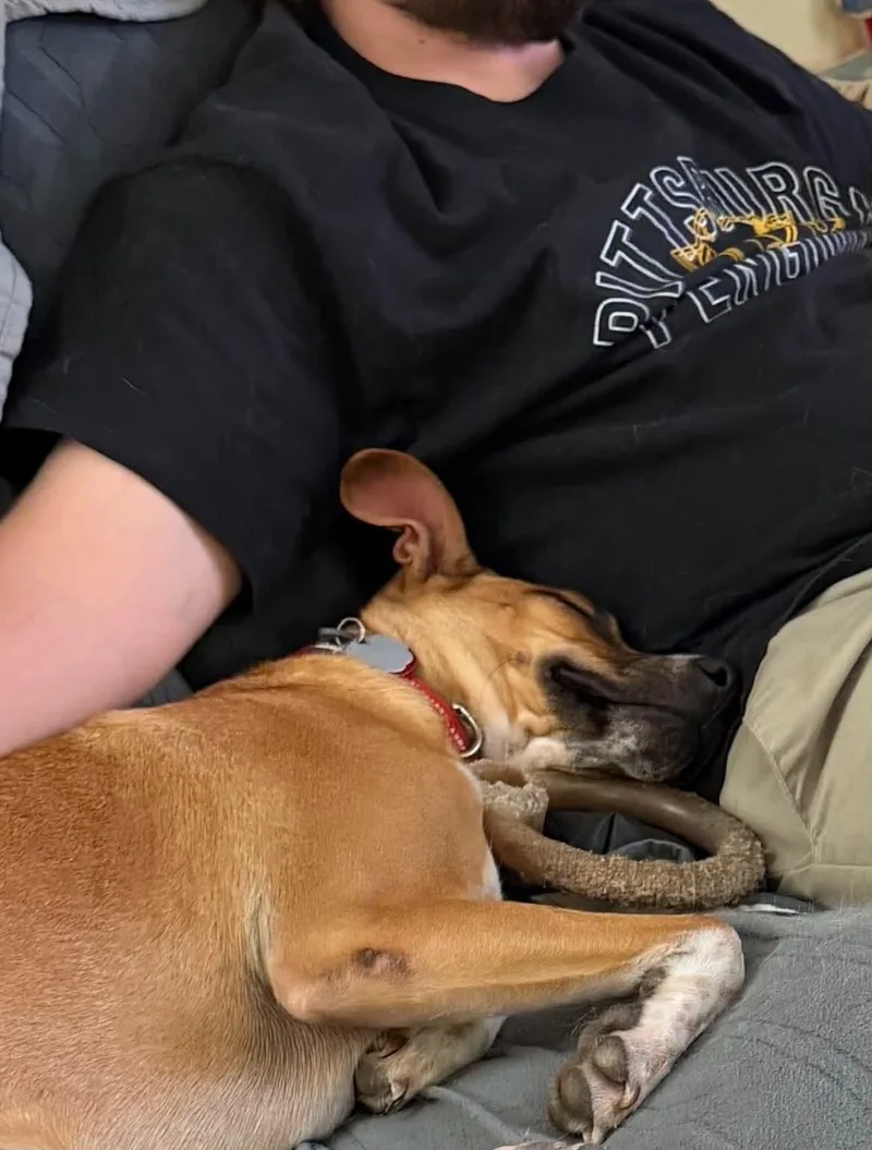 Bruno thumbnail 4