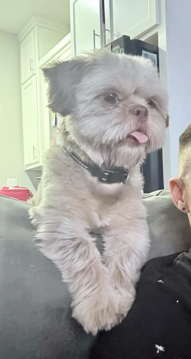 Willy thumbnail 2