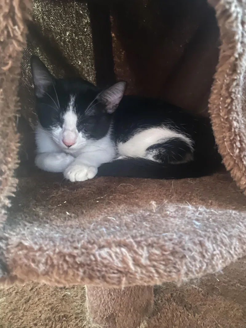 Spicy Courtesy Listingcontact Owner