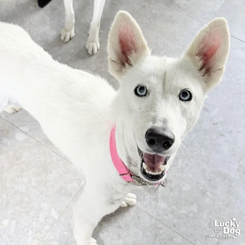 Lilyanne thumbnail 2