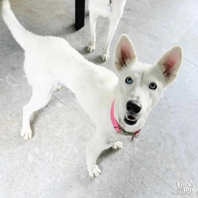 Lilyanne thumbnail 3