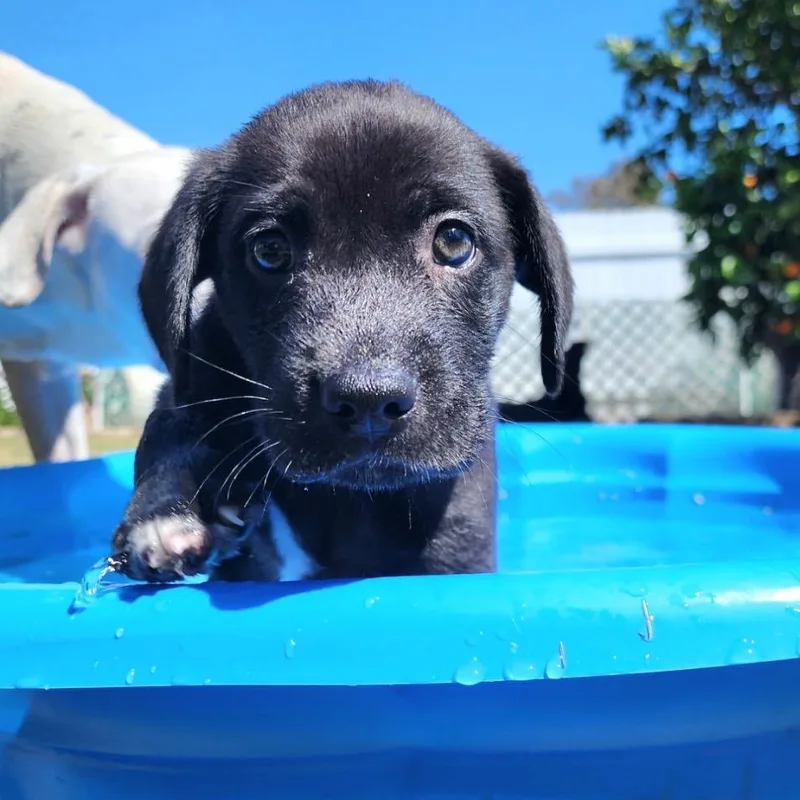 Eddie thumbnail 4