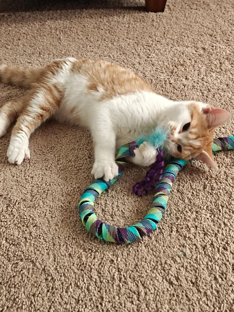 Miushang thumbnail 3