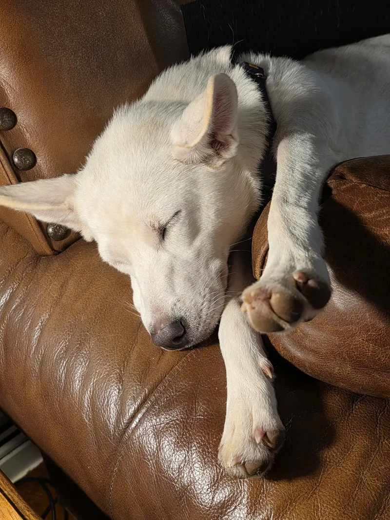 Nora W Video thumbnail 2