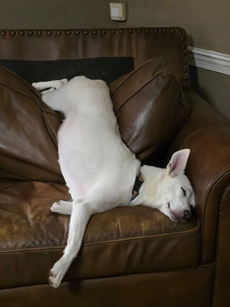 Nora W Video thumbnail 3