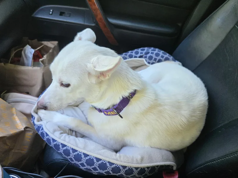 Nora W Video thumbnail 4