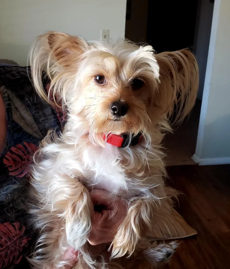 Molly