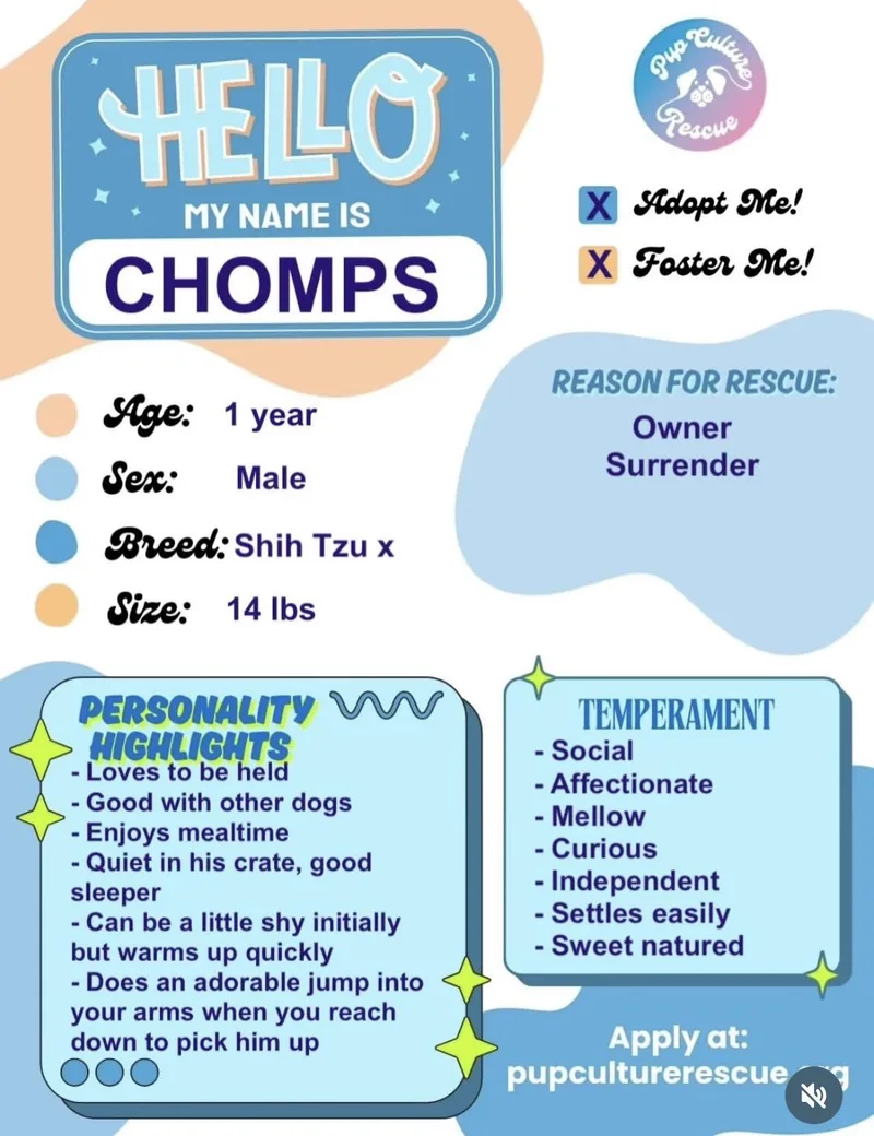Chomps thumbnail 2