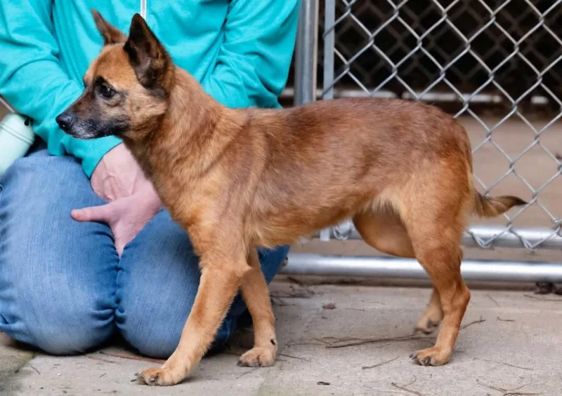 Teena Scas thumbnail 2