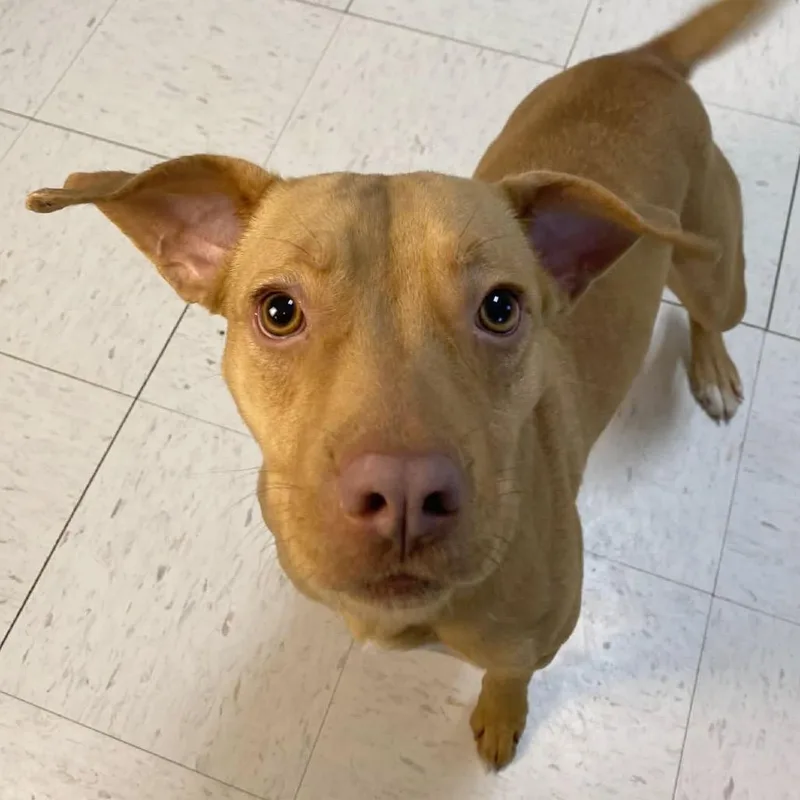 Katherine thumbnail 4