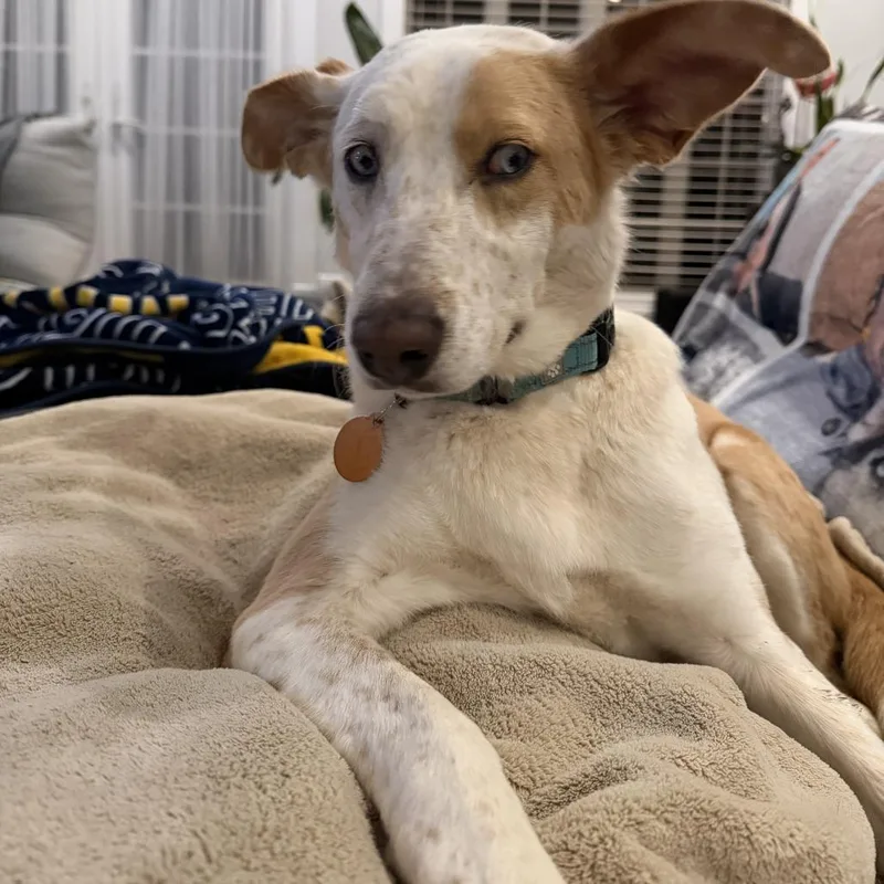 Princess Peach thumbnail 2