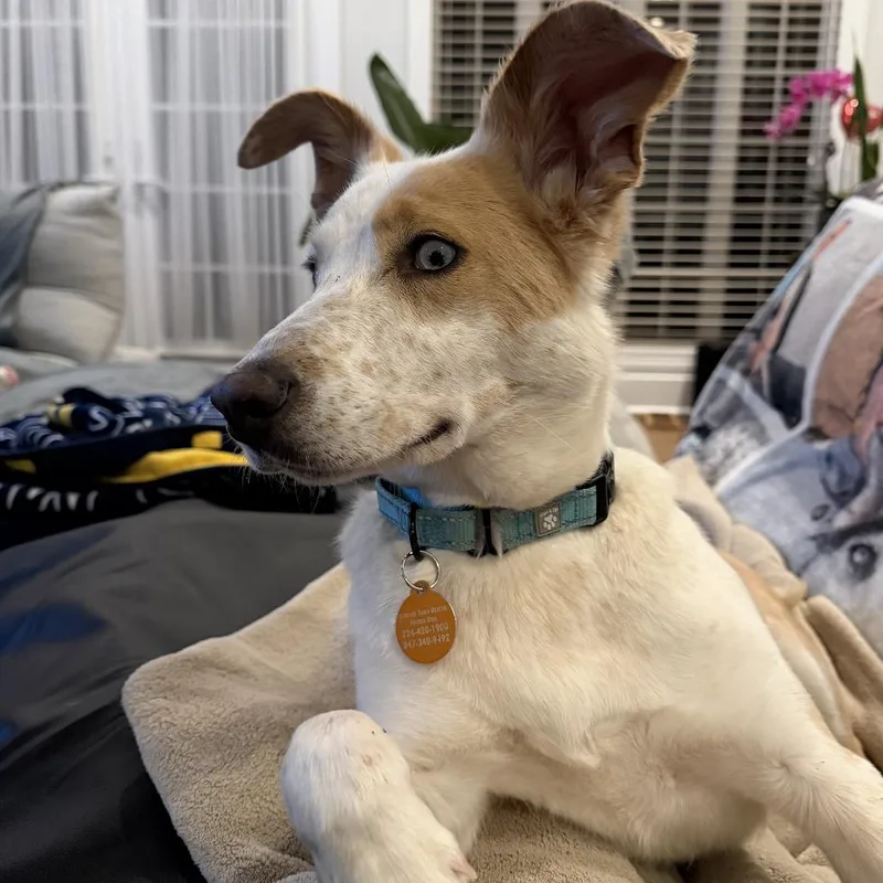 Princess Peach thumbnail 3