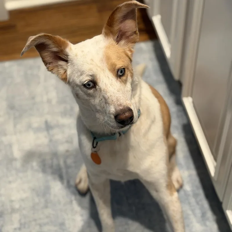 Princess Peach thumbnail 4