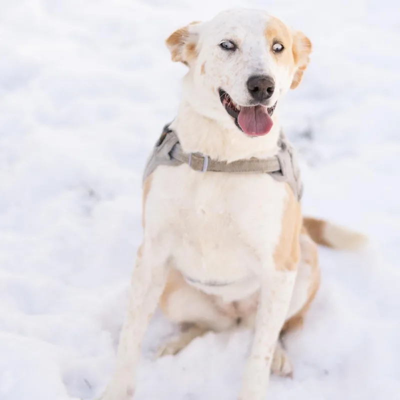 Princess Peach thumbnail 5