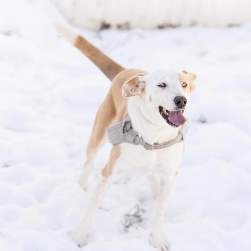 Princess Peach thumbnail 6