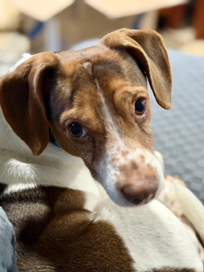 Tucker thumbnail 3