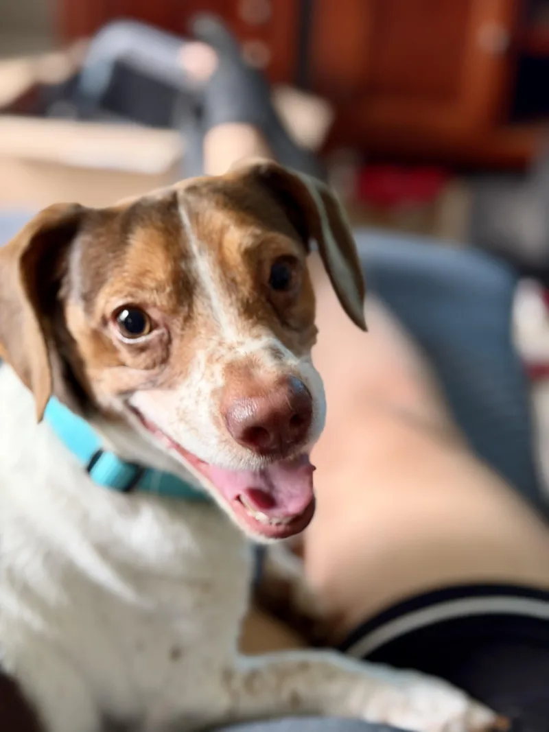 Tucker thumbnail 4