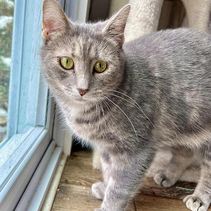 Mama Beta thumbnail 3