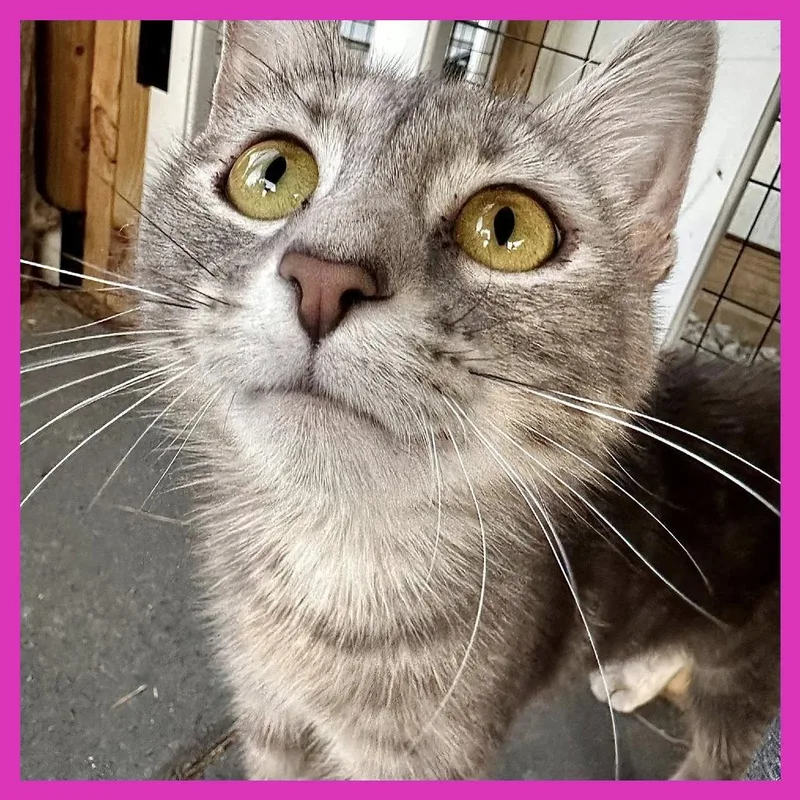 Mama Beta thumbnail 4