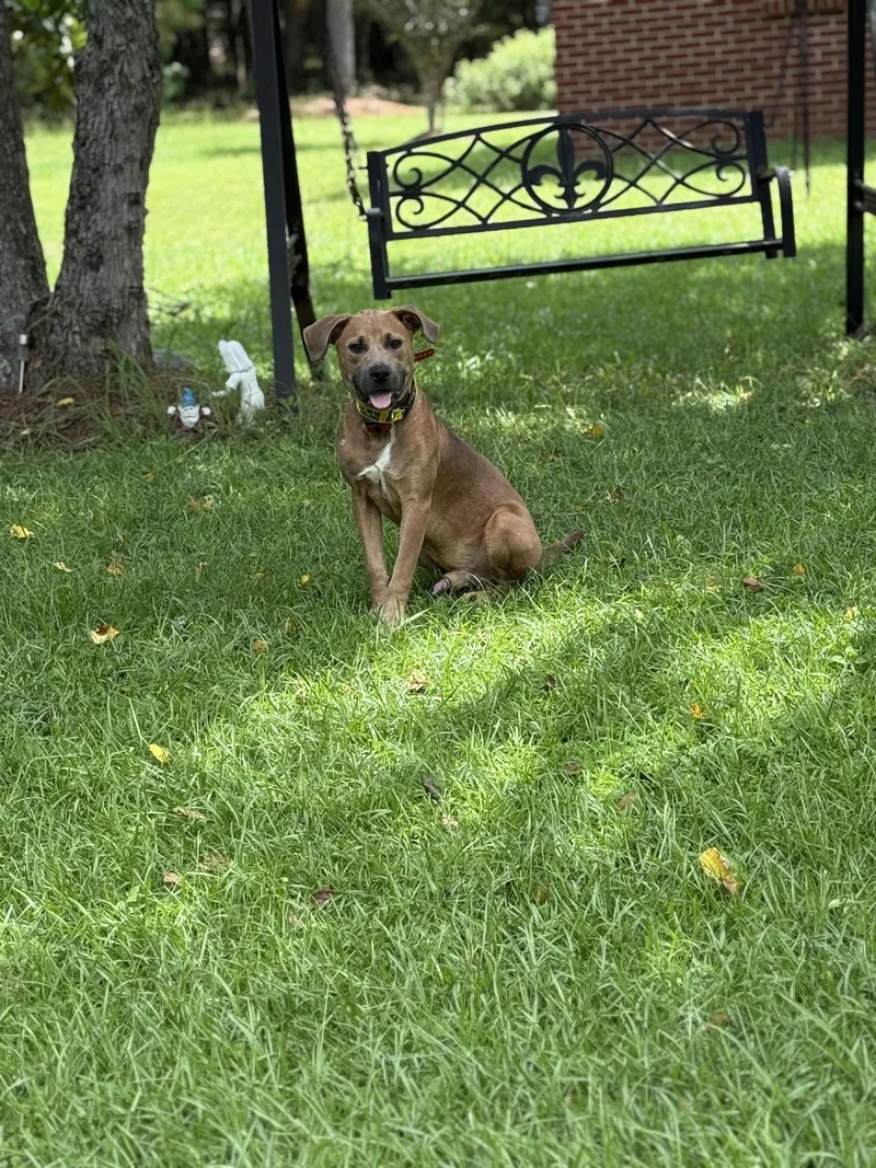 Willie Nelson thumbnail 2