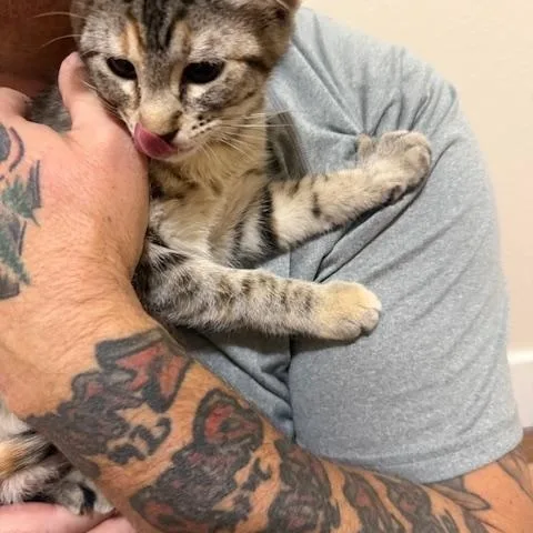 Francesca thumbnail 2