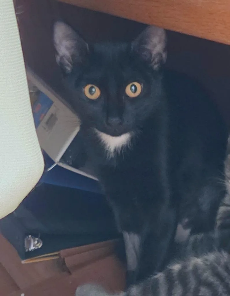 Lucy