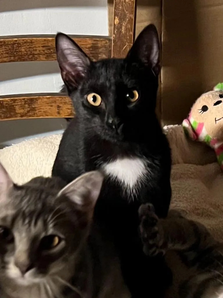 Lucy thumbnail 2
