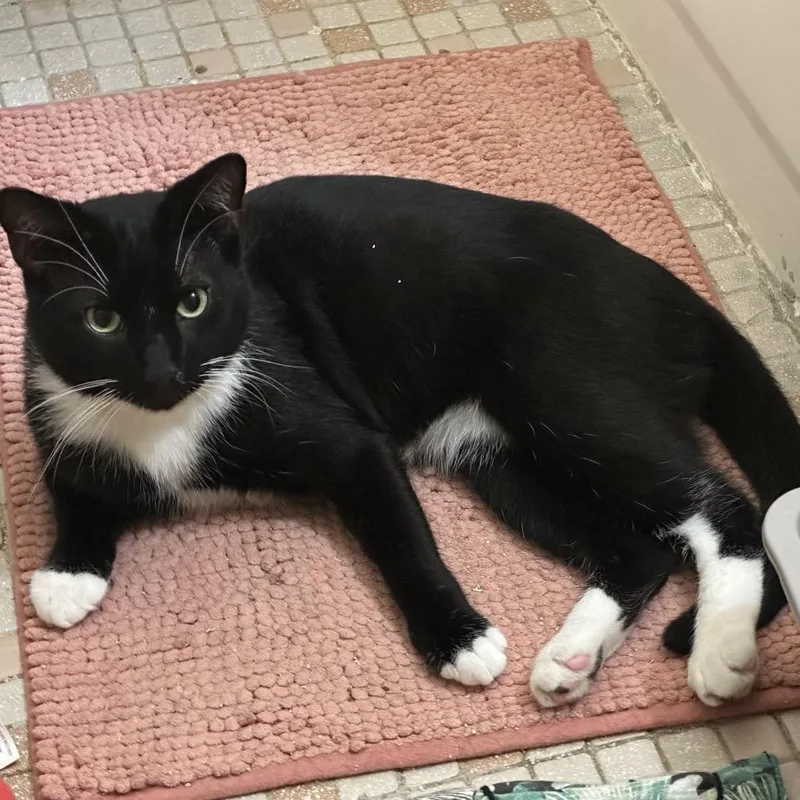 Purr Malone thumbnail 2