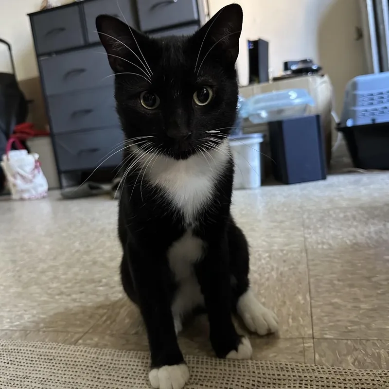 Purr Malone thumbnail 3