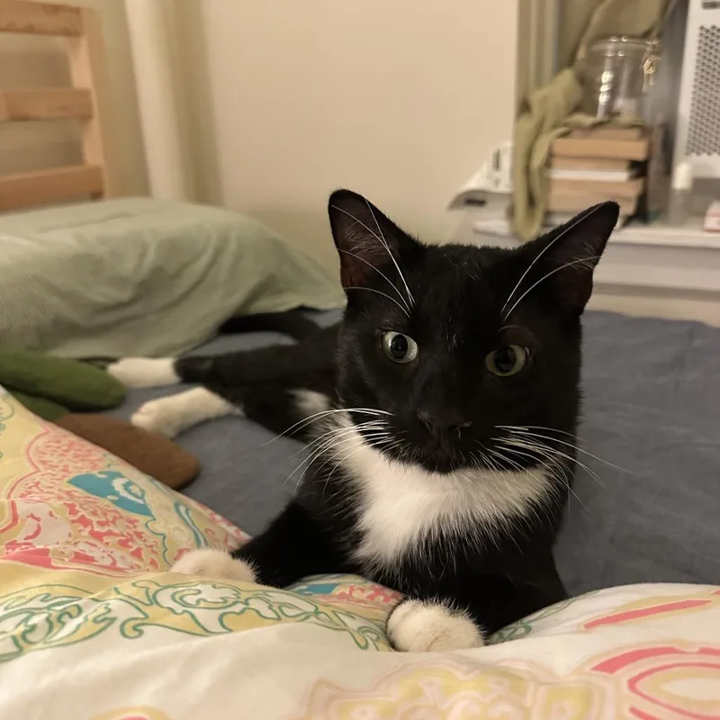 Purr Malone thumbnail 5