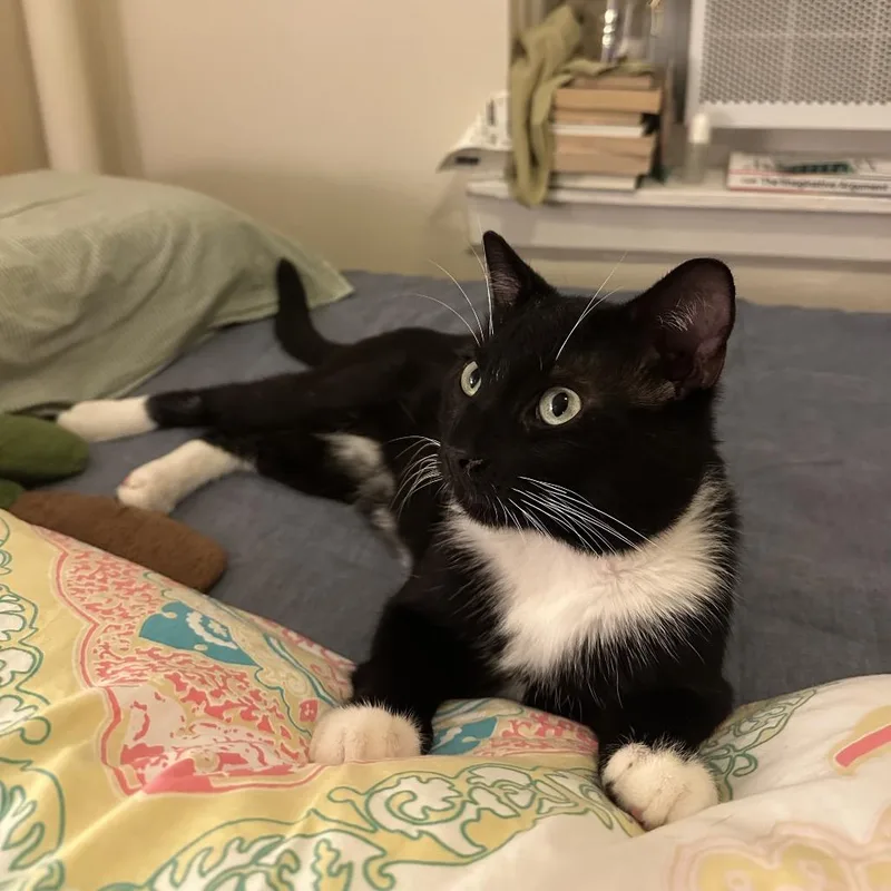 Purr Malone thumbnail 6