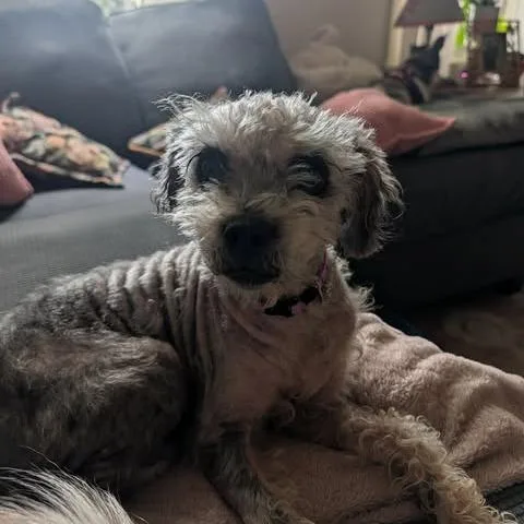 Betty thumbnail 3