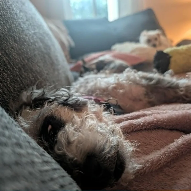 Betty thumbnail 4