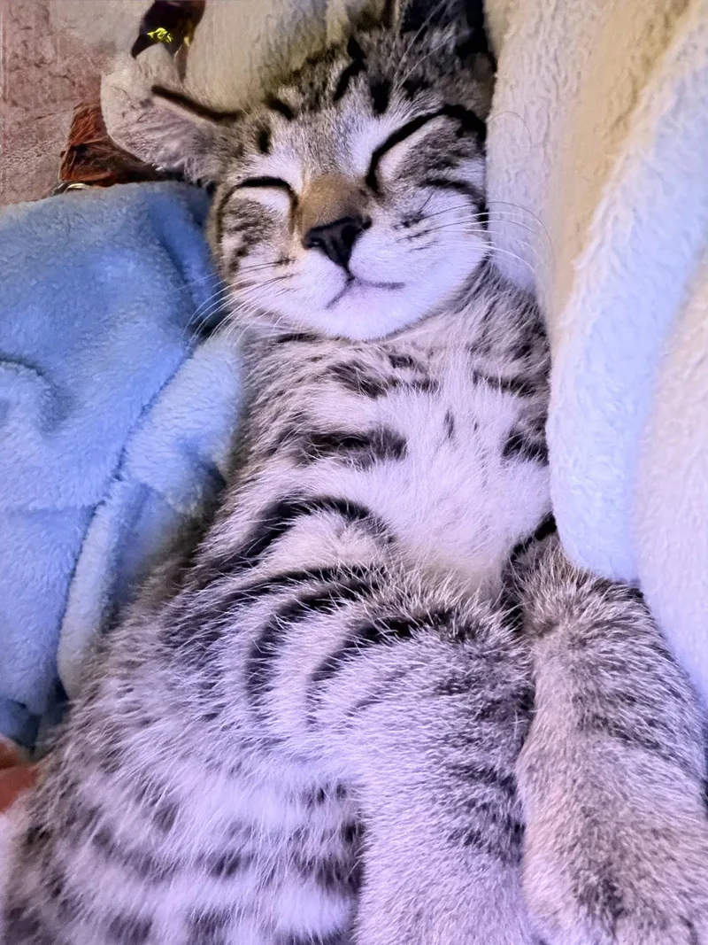 Nick