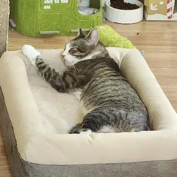 Franklin thumbnail 2