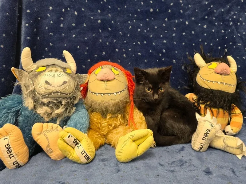 Sendak thumbnail 2