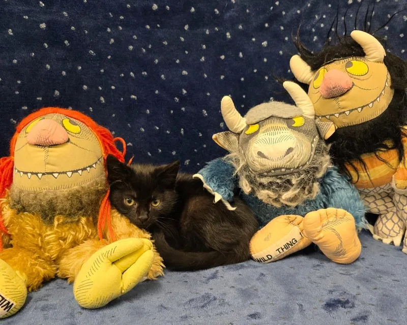 Sendak thumbnail 3