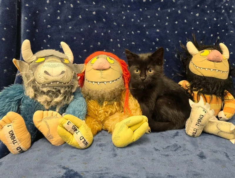 Sendak thumbnail 6