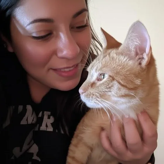 A young medium-sized male Tabby (Orange / Red) Domestic Short Hair cat named Bubba for adoption in Bloomfield, NJ