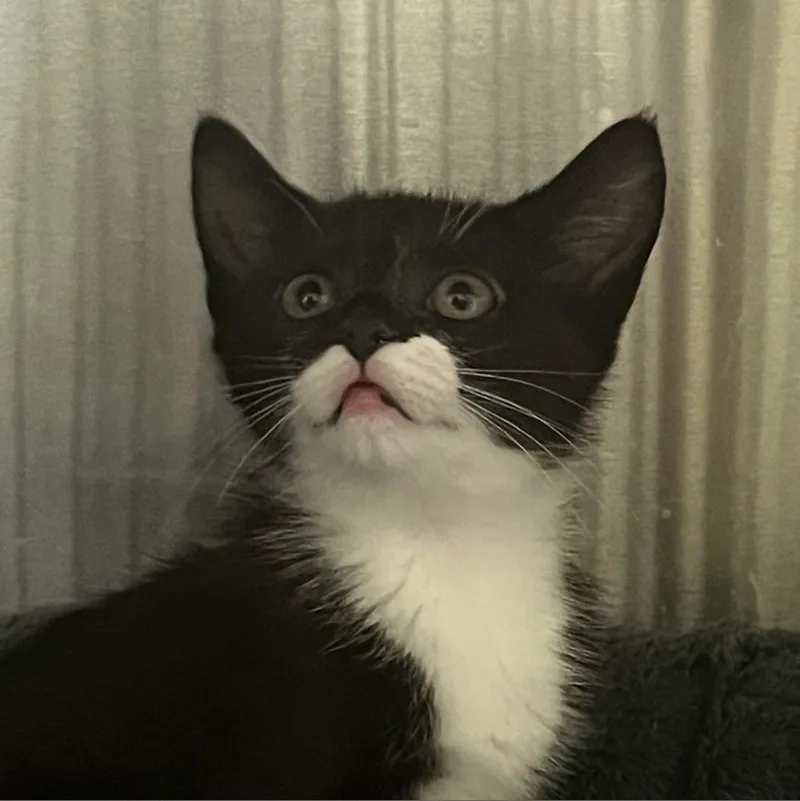 Hera