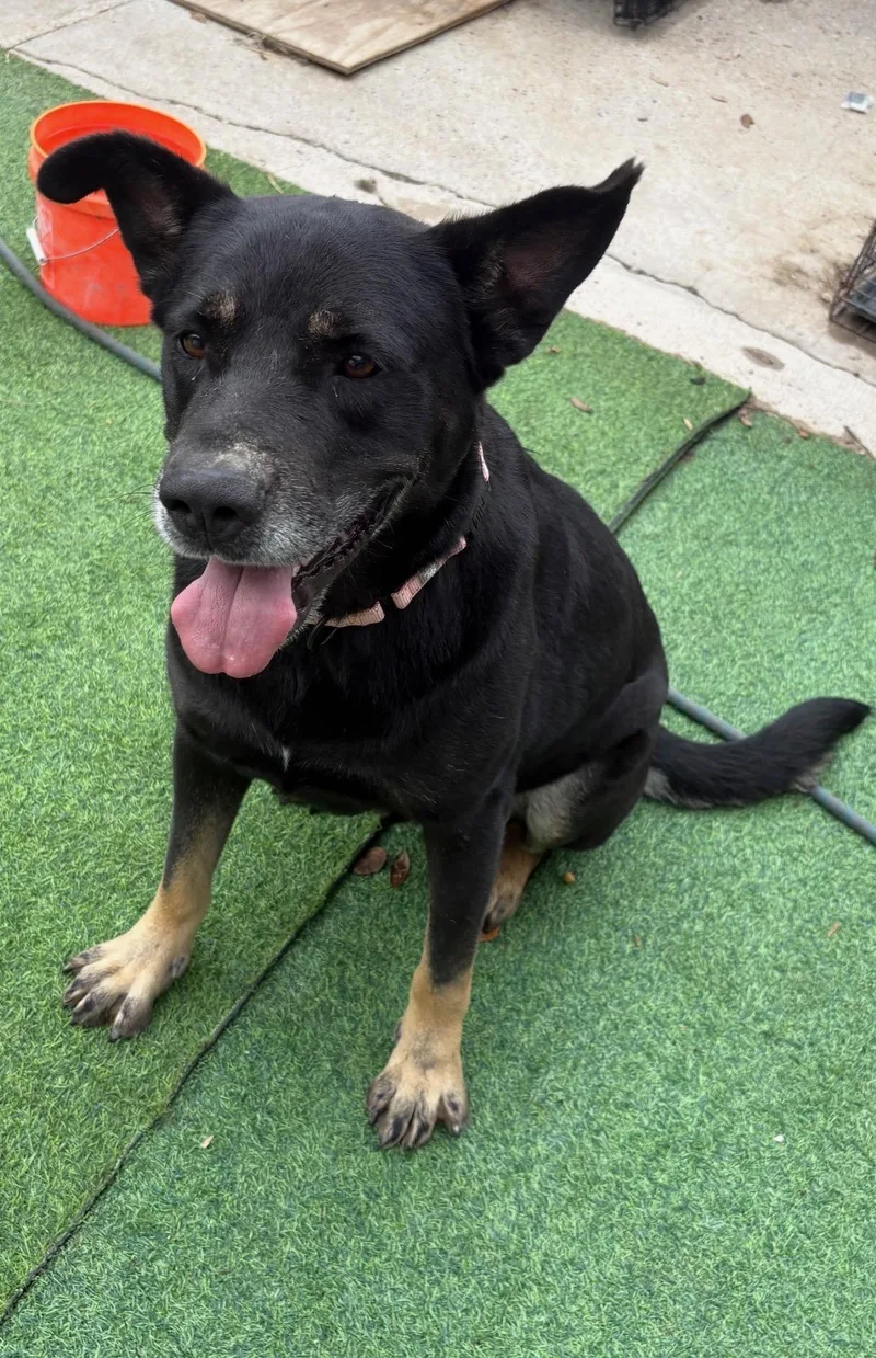 Baby Boy  The thumbnail 5